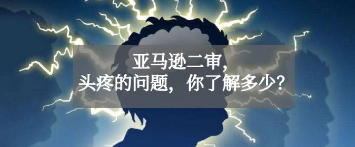 通过亚马逊二审的实战经验